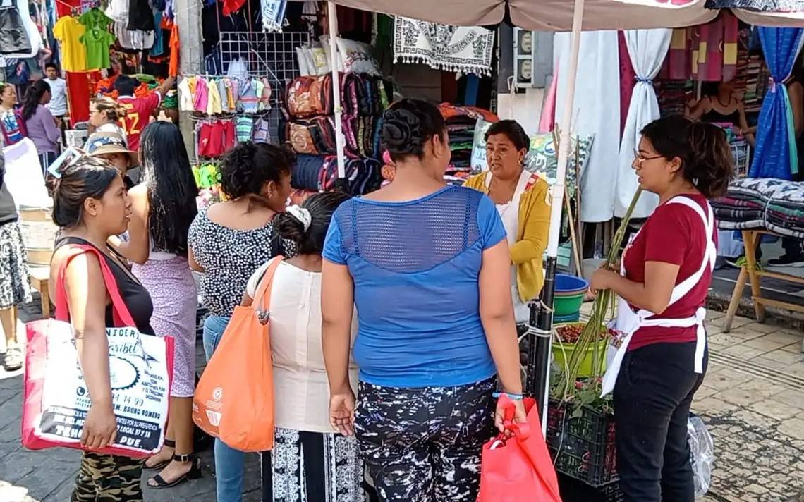 Canaco En Tehuacán Pide Extender Revisión De Profeco A Informales - El ...